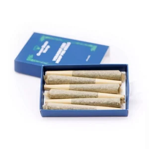 Pre Rolled Joint Boxes