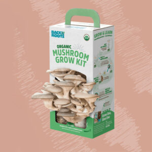 Mushroom Kit Boxes